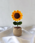 Handmade Crochet Sunflower Pot – Cute Mini Desk Decor & Gift