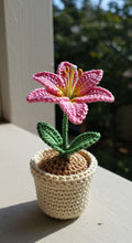 Handmade Crochet Lily Flower Pot